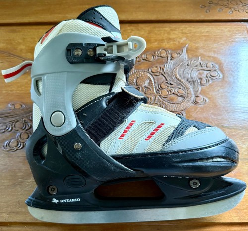 Verstellbare - ⛸️,